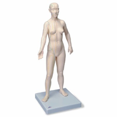 Akupunktur-Figur, weiblich