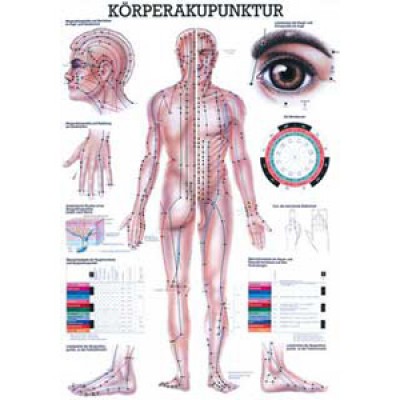 Karte Körperakupunktur, Format 70x100cm