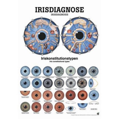 Karte Irisdiagnose, Format 50x70cm