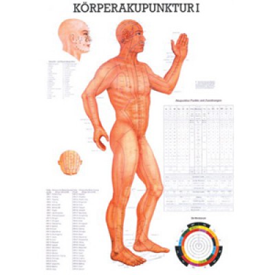 Karte Körperakupunktur I, Format 70x100cm