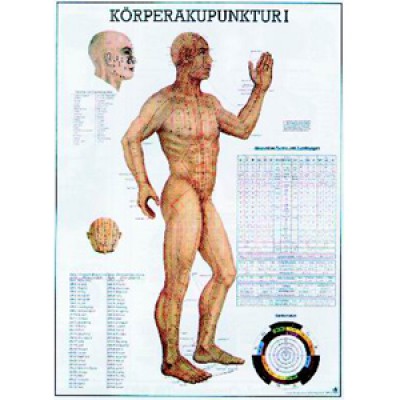 Mini-Poster Körperakupunktur I Format 23 x 33cm
