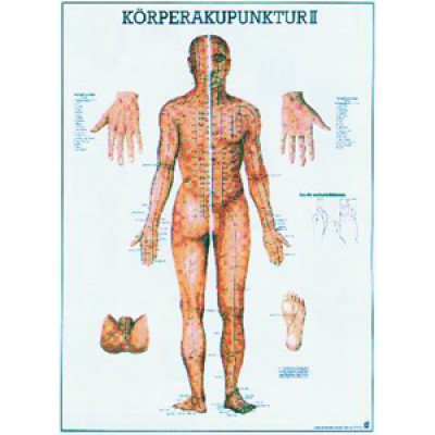 Mini-Poster Körperakupunktur II, Format 23 x 33 cm