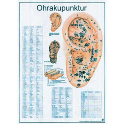 Mini-Poster Ohrakupunktur Format 23 x 33 cm