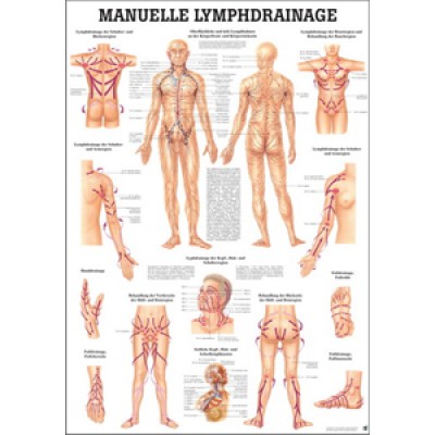 Mini-Poster manuelle Lymphdrainage Format 23 x 33 cm