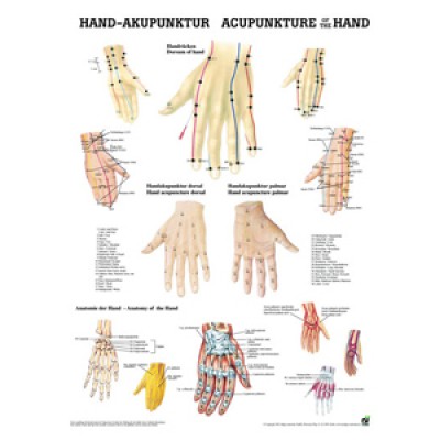 Mini-Poster Hand-Akupunktur Format 23 x 33 cm