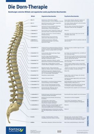 Koch: Poster "Die Dorn-Therapie", 59,4 x 84,0 cm