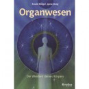 Kliegel/Heng: Organwesen