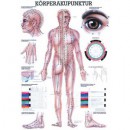 Karte Körperakupunktur, Format 70x100cm