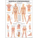 Karte manuelle Lymphdrainage, Format 70x100cm