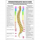 Karte Wirbeltherapie nach Dorn, Format 70x100cm