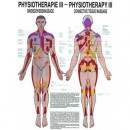 Poster Bindegewebsmassage - Physio III,  50x70cm