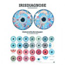Mini-Poster Irisdiagnose, Format 23 x 33 cm