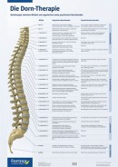 Koch: Poster "Die Dorn-Therapie" Format 59,4 cm x 84,0 cm