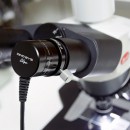 AM7025X Dino-Eye Edge, 5 Megapixel 5MP, for 23,30&30,5mm ocular & for C-mount adapter