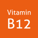 Vitamin B12 mse 500 Mikrogramm und weitere B-Vitamine, 120 Kapseln